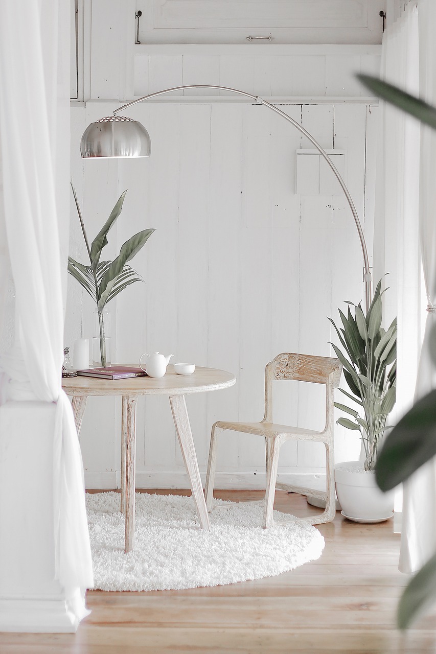 about-01 plant, design, home